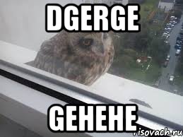 dgerge gehehe
