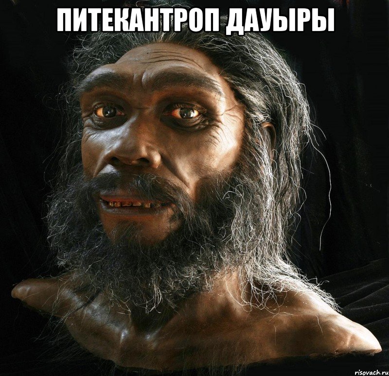 питекантроп дауыры 