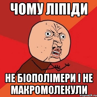 чому ліпіди не біополімери і не макромолекули, Мем Почему