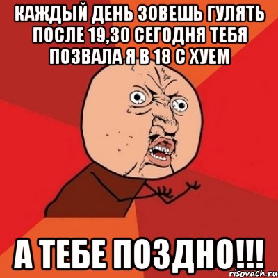 КАЖДЫЙ ДЕНЬ ЗОВЕШЬ ГУЛЯТЬ ПОСЛЕ 19,30 СЕГОДНЯ ТЕБЯ ПОЗВАЛА Я В 18 С ХУЕМ А ТЕБЕ ПОЗДНО!!!, Мем Почему