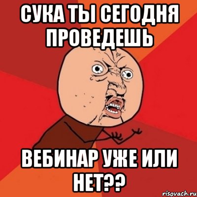 СУКА ТЫ СЕГОДНЯ ПРОВЕДЕШЬ ВЕБИНАР УЖЕ ИЛИ НЕТ??, Мем Почему