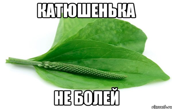 Катюшенька не болей