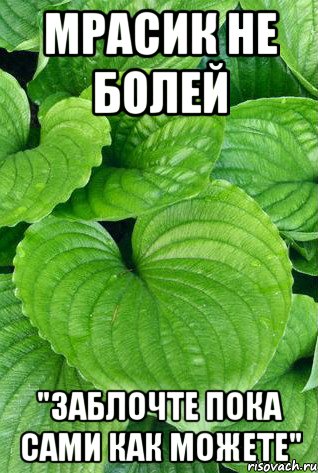 мрасик не болей "заблочте пока сами как можете"