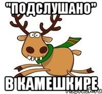 "Подслушано" в Камешкире