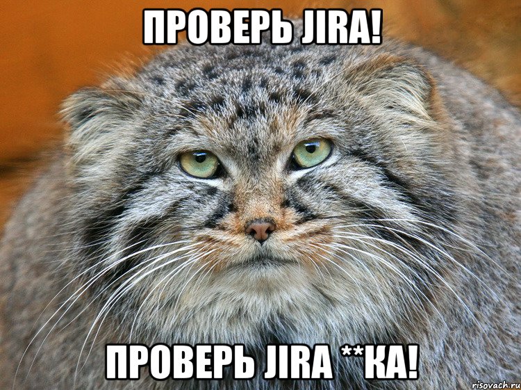 Проверь Jira! Проверь Jira **ка!