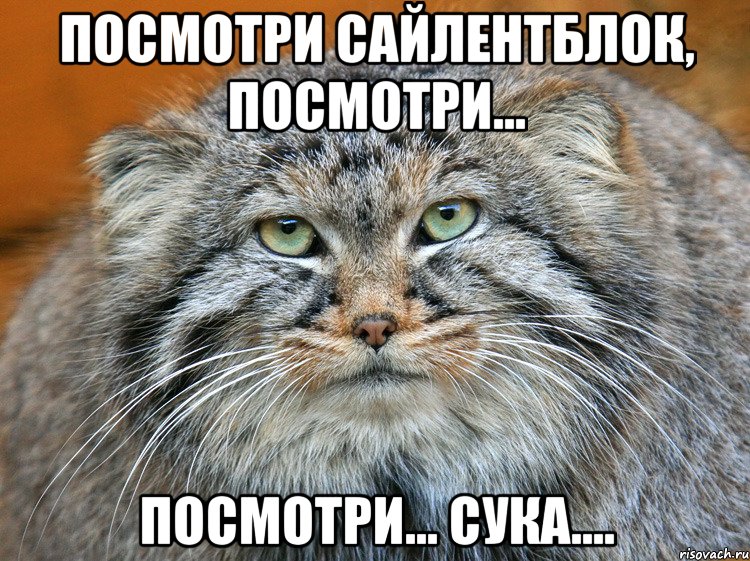 Посмотри сайлентблок, посмотри... посмотри... сука....