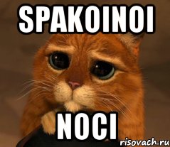 Spakoinoi noci, Мем Кот из Шрека