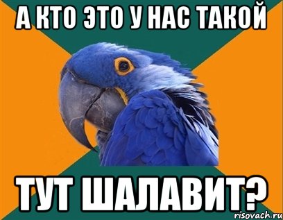 А кто это у нас такой Тут шалавит?, Мем Попугай параноик