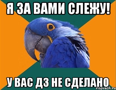 Я за вами слежу! У вас ДЗ не сделано