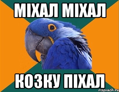 міхал міхал козку піхал, Мем Попугай параноик