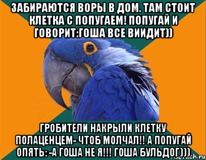 Забираются воры в дом. Там стоит клетка с попугаем! Попугай и говорит:Гоша все виидит)) Гробители накрыли клетку полаценцем- чтоб молчал!! А попугай опять: -А Гоша не я!!! Гоша бульдог))), Мем Попугай параноик