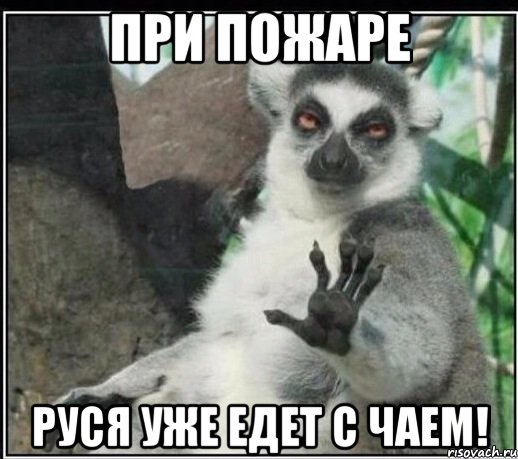 ПРИ ПОЖАРЕ РУСЯ УЖЕ ЕДЕТ С ЧАЕМ!