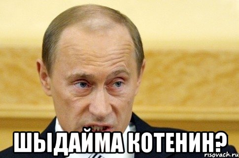  шыдайма котенин?, Мем путин