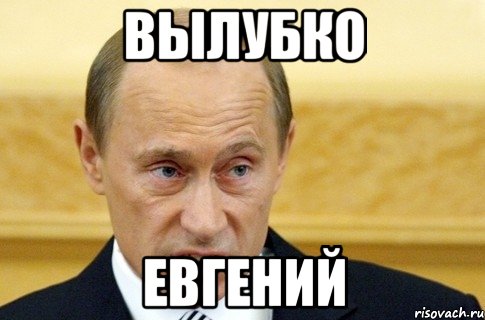 вылубко евгений, Мем путин