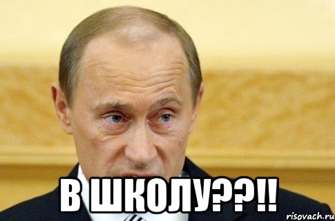  В школу??!!, Мем путин