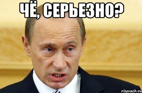 ЧЁ, СЕРЬЕЗНО? , Мем путин