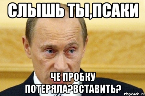 слышь ты,псаки че пробку потеряла?вставить?, Мем путин