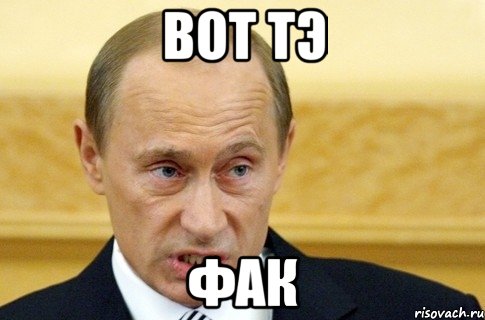 вот тэ фак, Мем путин