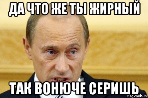 ДА ЧТО ЖЕ ТЫ ЖИРНЫЙ ТАК ВОНЮЧЕ СЕРИШЬ, Мем путин