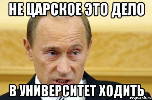 Не царское это дело В университет ходить, Мем путин