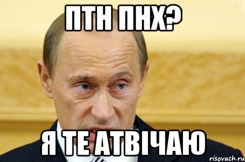 птн пнх? я те атвічаю, Мем путин