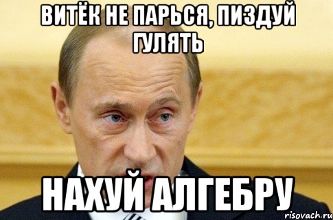 Витёк не парься, пиздуй гулять Нахуй алгебру, Мем путин