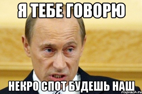 Я ТЕБЕ ГОВОРЮ НЕКРО СПОТ БУДЕШЬ НАШ, Мем путин