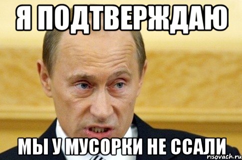 я подтверждаю мы у мусорки не ссали, Мем путин