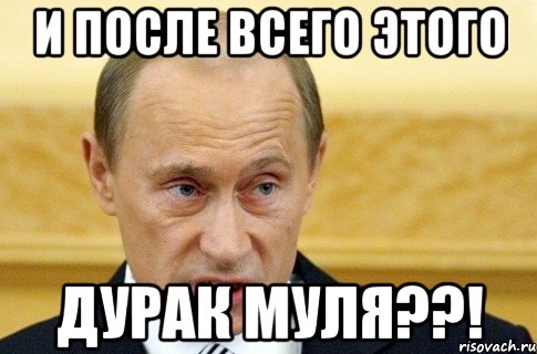 и после всего этого дурак муля??!, Мем путин