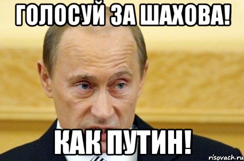 ГОЛОСУЙ ЗА ШАХОВА! Как Путин!, Мем путин