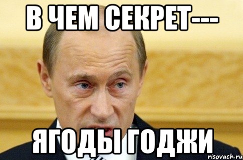 В ЧЕМ СЕКРЕТ--- ЯГОДЫ ГОДЖИ, Мем путин