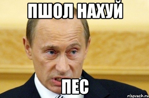 пшол нахуй пес, Мем путин