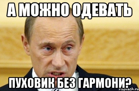 А можно одевать Пуховик без гармони?, Мем путин