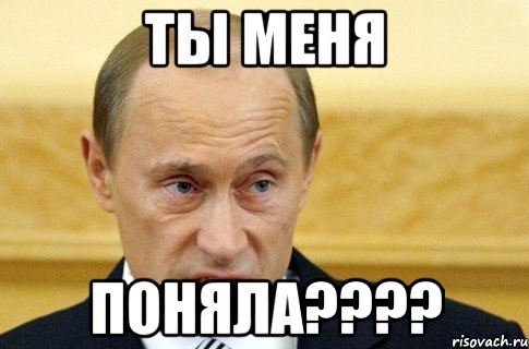 ты меня поняла????, Мем путин