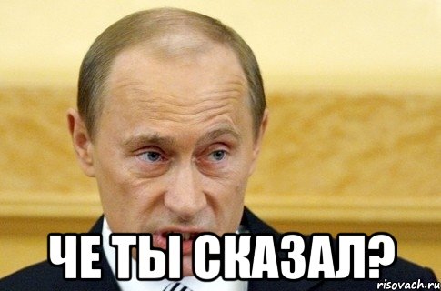  Че ты сказал?, Мем путин