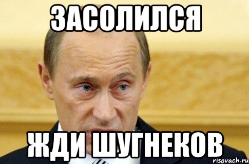 засолился жди шугнеков, Мем путин