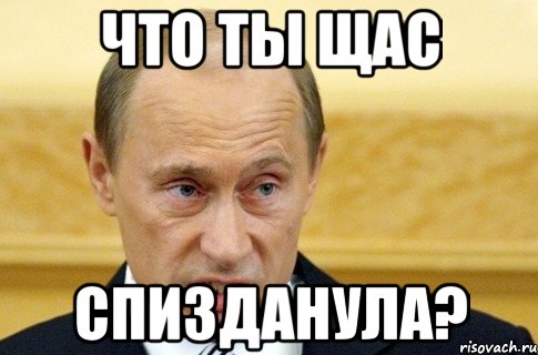 что ты щас спизданула?, Мем путин