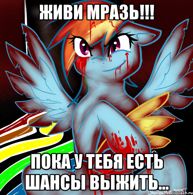 Живи мразь!!! Пока у тебя есть шансы выжить..., Мем RAINBOW FACTORY DASH