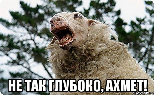  Не так глубоко, Ахмет!