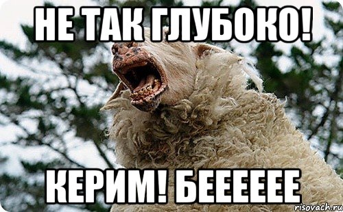 Не так глубоко! КЕРИМ! Бееееее