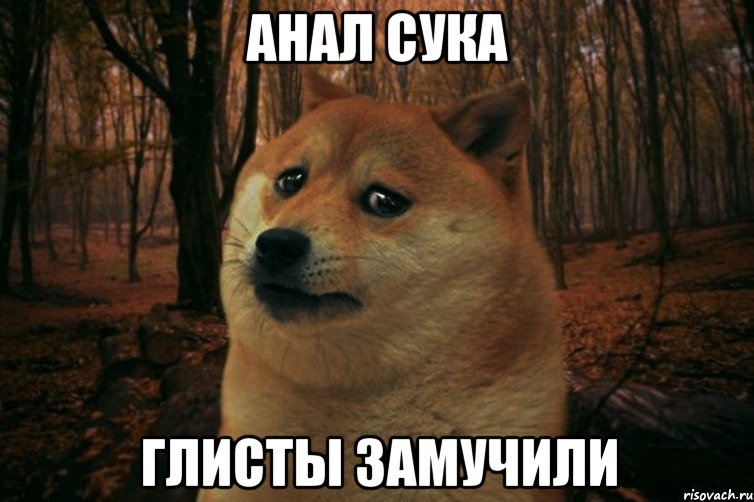 анал сука глисты замучили, Мем SAD DOGE