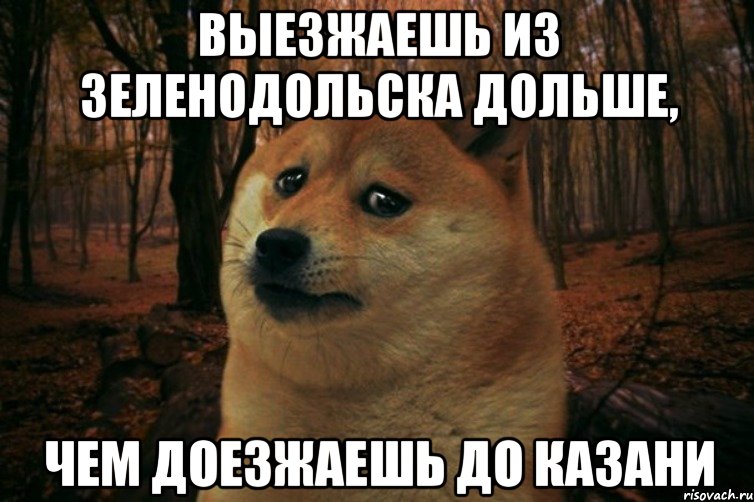 Выезжаешь из Зеленодольска дольше, чем доезжаешь до Казани, Мем SAD DOGE