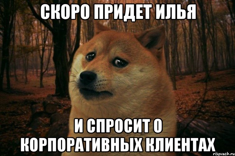 скоро придет Илья и спросит о корпоративных клиентах, Мем SAD DOGE