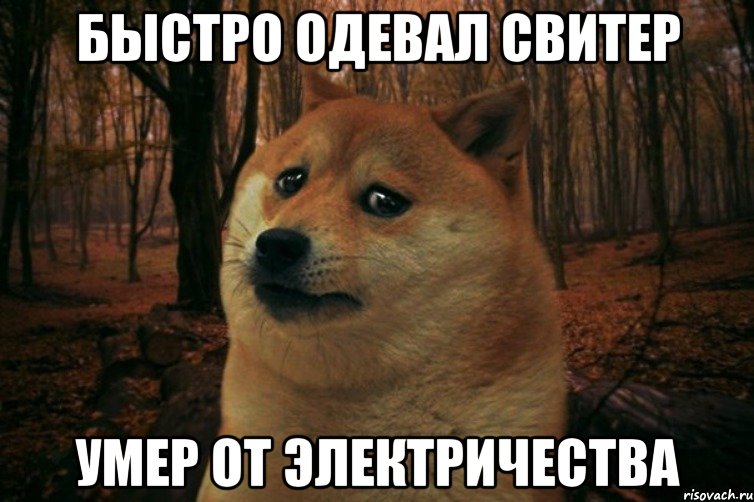 Быстро одевал свитер Умер от электричества, Мем SAD DOGE