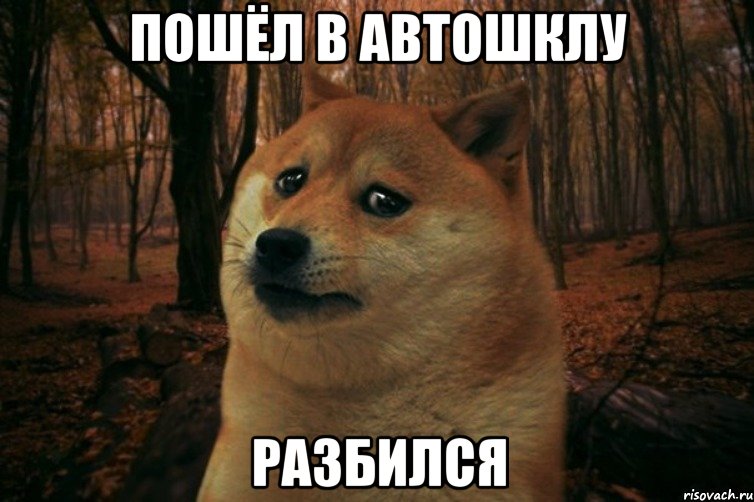 пошёл в автошклу разбился, Мем SAD DOGE