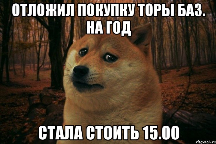 Отложил покупку Торы баз. на год Стала стоить 15.00, Мем SAD DOGE