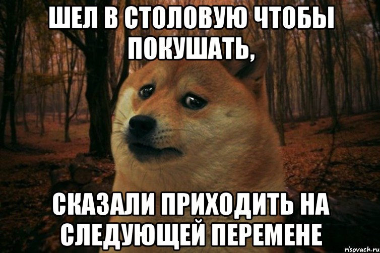 шел в столовую чтобы покушать, сказали приходить на следующей перемене, Мем SAD DOGE