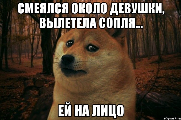 смеялся около девушки, вылетела сопля... ей на лицо, Мем SAD DOGE