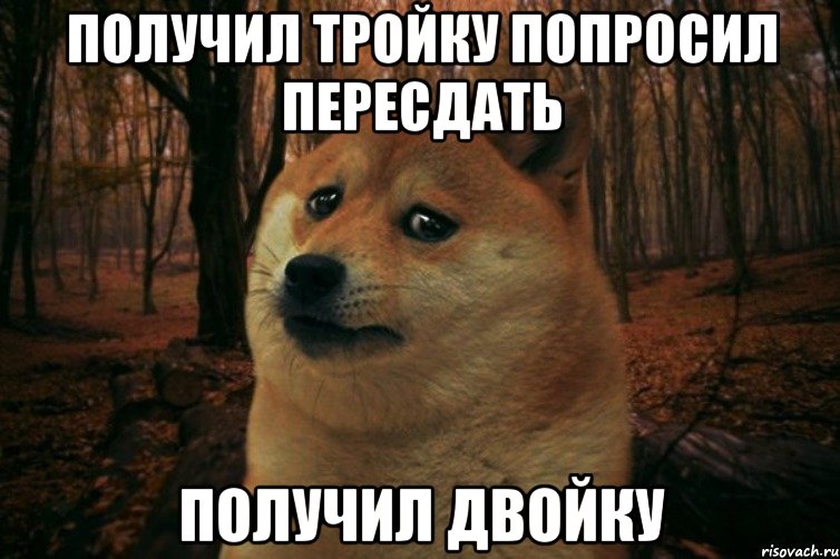 получил тройку попросил пересдать получил двойку, Мем SAD DOGE