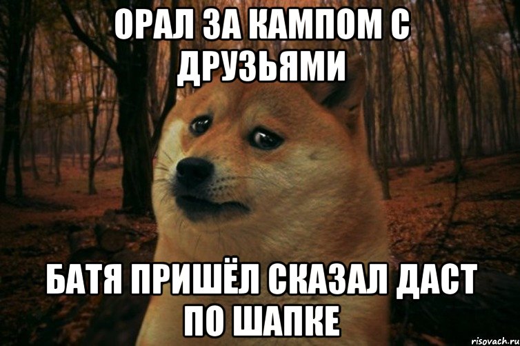 орал за кампом с друзьями батя пришёл сказал даст по шапке, Мем SAD DOGE